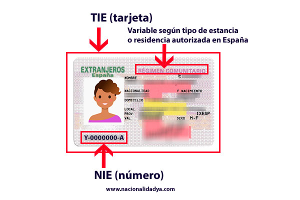 TIE y NIE diferencias - NacionalidadYA.com